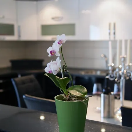 Mario Apartment *